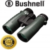 Bushnell 10x42 XLT Trophy Binocular (Green)