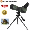 Celestron LandScout 20-60x65 Spotting Scope Digiscope Kit Celestron LandScout 20-60x65 Spotting Scope Digiscope Kit