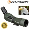 Celestron Regal M2 65ED Spotting Scope with 16-48x65 Eyepiece Angled Celestron Regal M2 65ED Spotting Scope with 16-48x65 Eyepiece Angled
