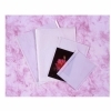 Kenro 12.25x17 Inch Clear Fronted Bags - Pack of 500 Kenro 12.25x17 Inch Clear Fronted Bags - Pack of 500