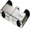 Nikon DCF 4x10 Binoculars - Champagne