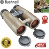 Bushnell 10x42 Forge ED Binoculars