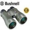 Bushnell 8X56 Trophy Xtreme Binocular - Green