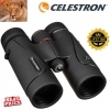 Celestron 10x42 TrailSeeker Binocular