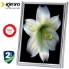 Kenro Frisco A2 Silver Frame
