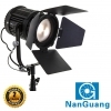 NanGuang CN100FC LED Bi-Colour Fresnel Light